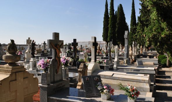 El Ayuntamiento de Daimiel amplía el plazo de limpieza de sepulturas al jueves 29 de octubre