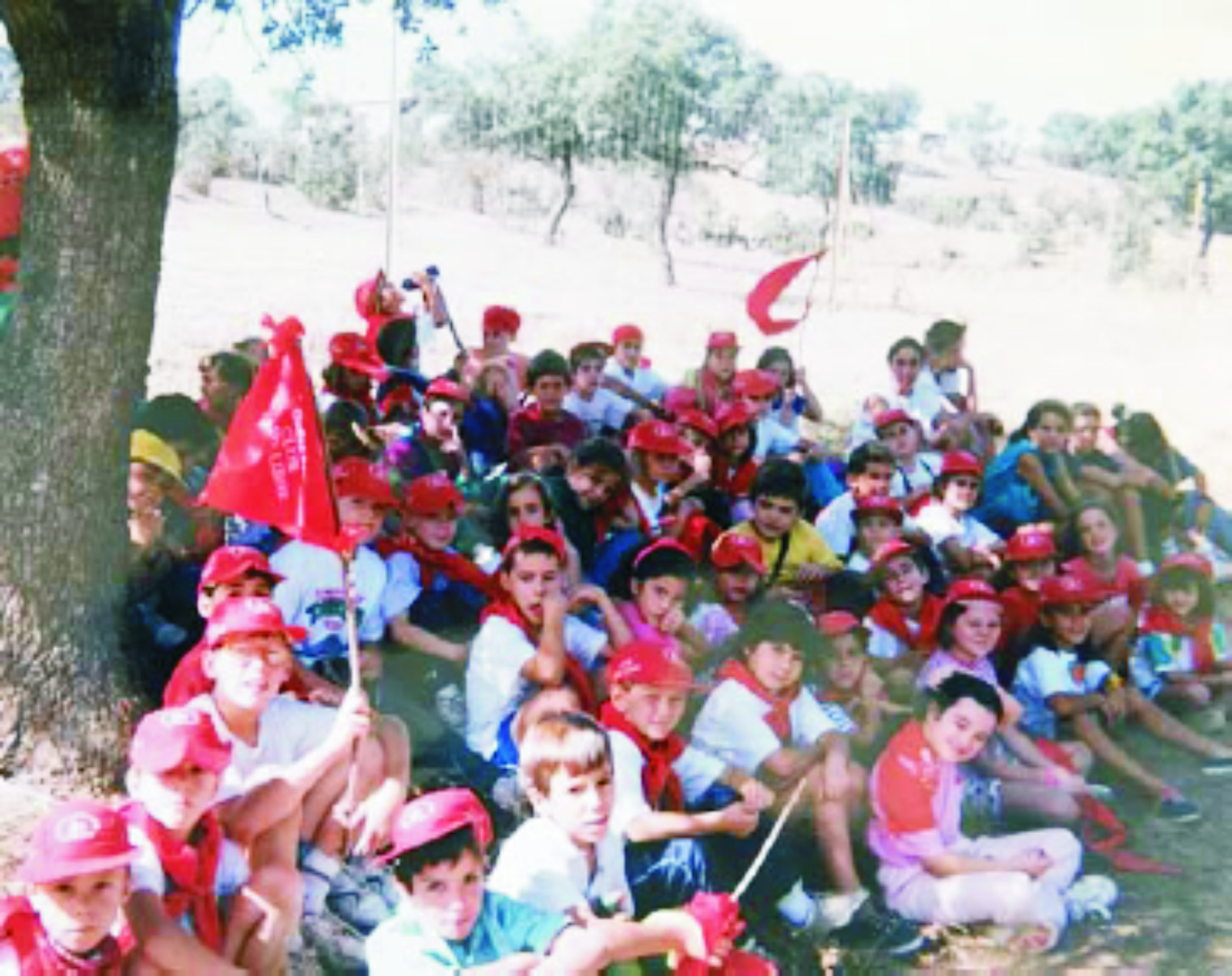 grupos de alumnos