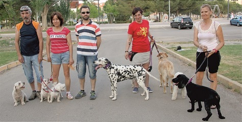 Uno más de la familia. Animales de compañía