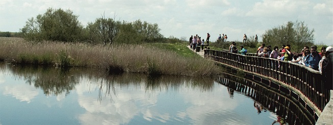 Tablas de Daimiel