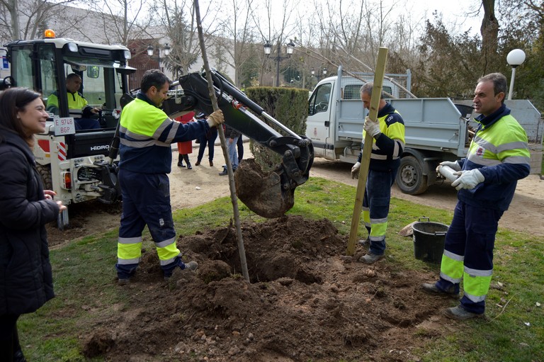 Ciudad Real plantará en dos años más de 300 árboles en distintas zonas verdes