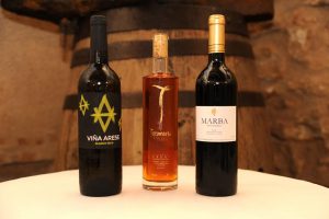 Vinos ganadores Agrocanarias 2017