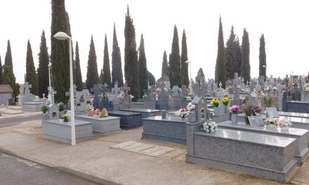 El cementerio de Daimiel cerrará martes y miércoles por la fumigación de sus cipreses