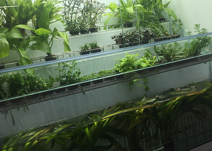 Anysa Ganadera-NutriZoo abre nuevas instalaciones con más productos y servicios a una relación calidad-precio extraordinaria