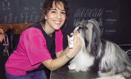 La ciudadrealeña Patricia Campos, “doctora cum laude” del estilismo y la peluquería canina de España y reconocida a máximo nivel internacional