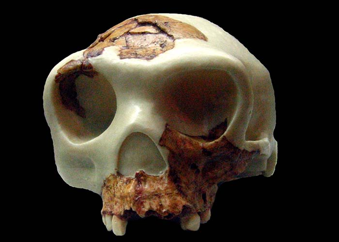 Resumen 1: Prehistoria de la Península Ibérica