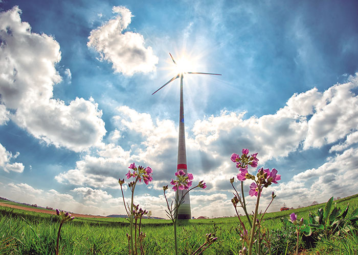Energías Renovables. Presente y futuro