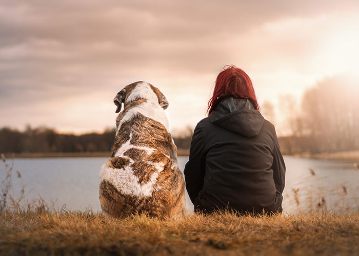 SEGUROS que te interesa: Cómo y dónde se puede enterrar a una mascota