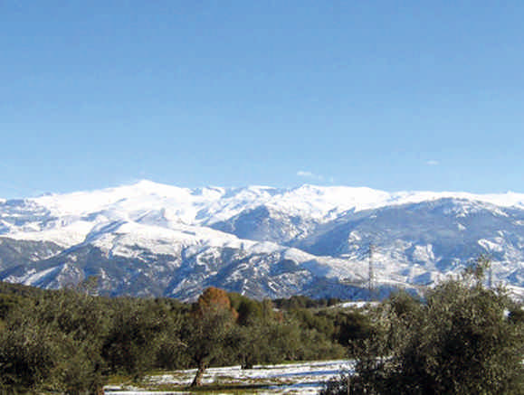 La nieve de Sierra Nevada tiene dueño