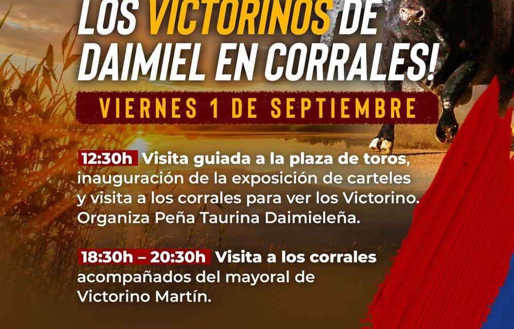 Los “Victorinos” que se lidiarán en Daimiel podrán ser visitados por los aficionados