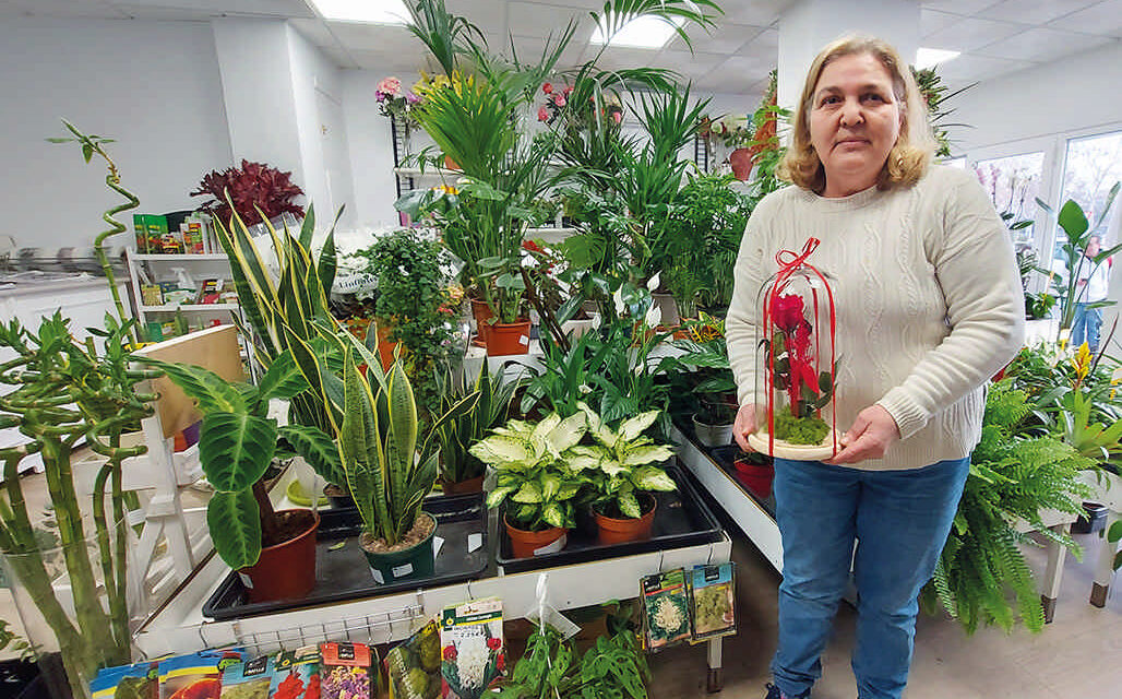 Floristería Loli, las mejores flores y plantas con servicio a domicilio