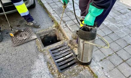 El Ayuntamiento de Ciudad Real duplica esfuerzos en las labores de control de plagas en la red de saneamientos