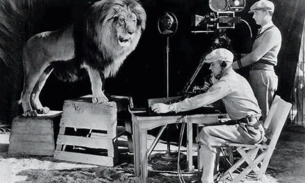 Siete leones han pasado por la MGM