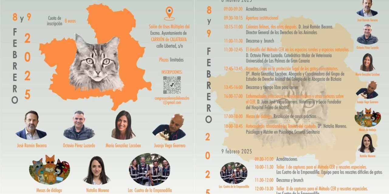 Carrión de Calatrava acogerá las II Jornadas Castellano-manchegas sobre Gestión de Colonias Felinas
