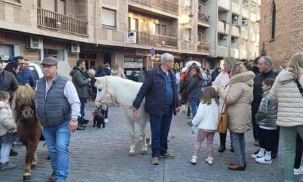 Daimieleños y daimieleñas se unen en torno a las celebraciones de San Antón