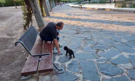 Los Colegios de Veterinarios advierten del bajo porcentaje de vacunación de perros y gatos y en C-LM