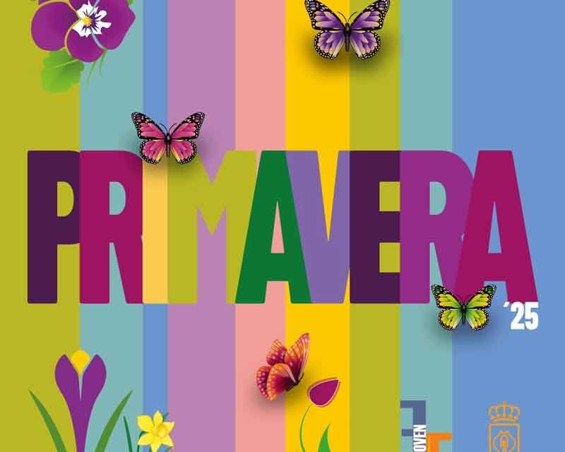El Ayuntamiento de Ciudad Real refuerza su apuesta por la juventud con un presupuesto récord de 60.000 euros