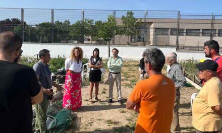 El Ayuntamiento entrega 10 huertos urbanos en la calle Sol coincidiendo con el Día Mundial del Medio Ambiente