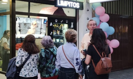“Perritos Limpitos”, un servicio de autolavado de mascotas práctico, seguro y divertido