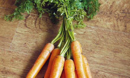 Las zanahorias no eran naranjas