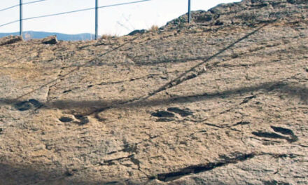 Huellas de dinosaurios en Enciso