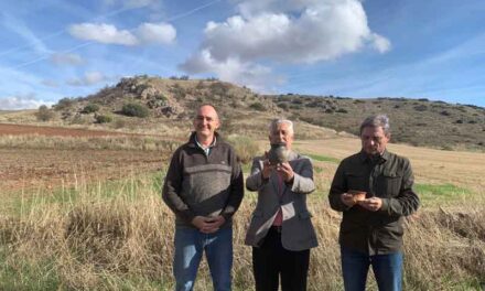 Los hallazgos del yacimiento arqueológico de Bocapucheros se presentarán oficialmente en enero