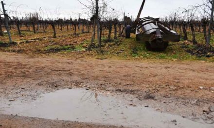 El primer trimestre del año hidrológico arranca en Daimiel con buenas lluvias, aunque por debajo del pasado ejercicio