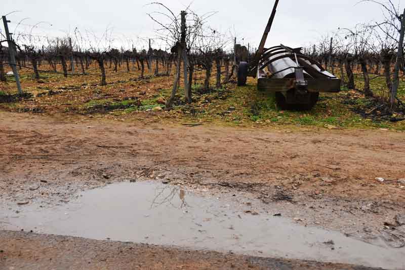 El primer trimestre del año hidrológico arranca en Daimiel con buenas lluvias, aunque por debajo del pasado ejercicio
