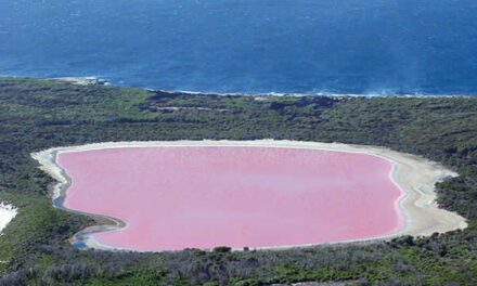 El sorprendente lago rosa de Australia