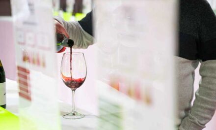 El vino español fortalece su posicionamiento en el mercado vinícola de Hungría a través de FENAVIN Match