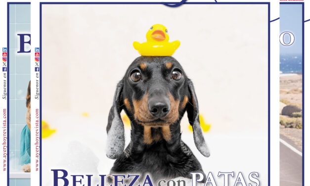 Revista digital septiembre 2026 – Ciudad Real